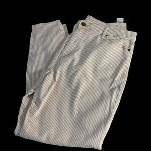 LOFT Modern Skinny White/Burnt Orange Stripe Crop Jeans‎ NWT Sz 32/14